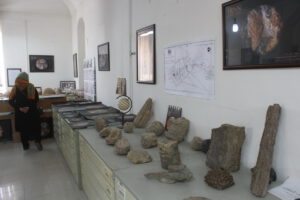 موزه دیرین شناسی