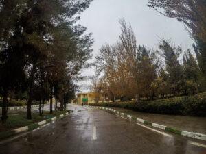 کرمان در باران